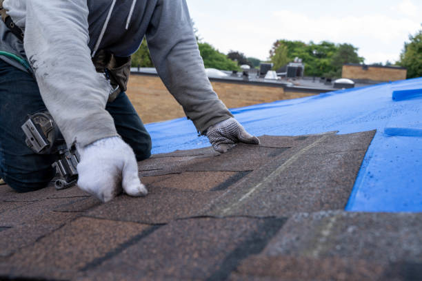 Best Metal Roofing Contractor  in Covington, VA